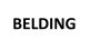 Synthiko Foils Ltd is now Belding India Ltd